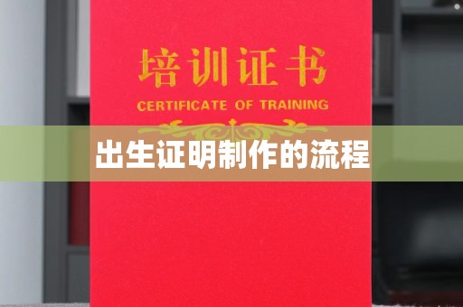 云梦出生证明制作的流程